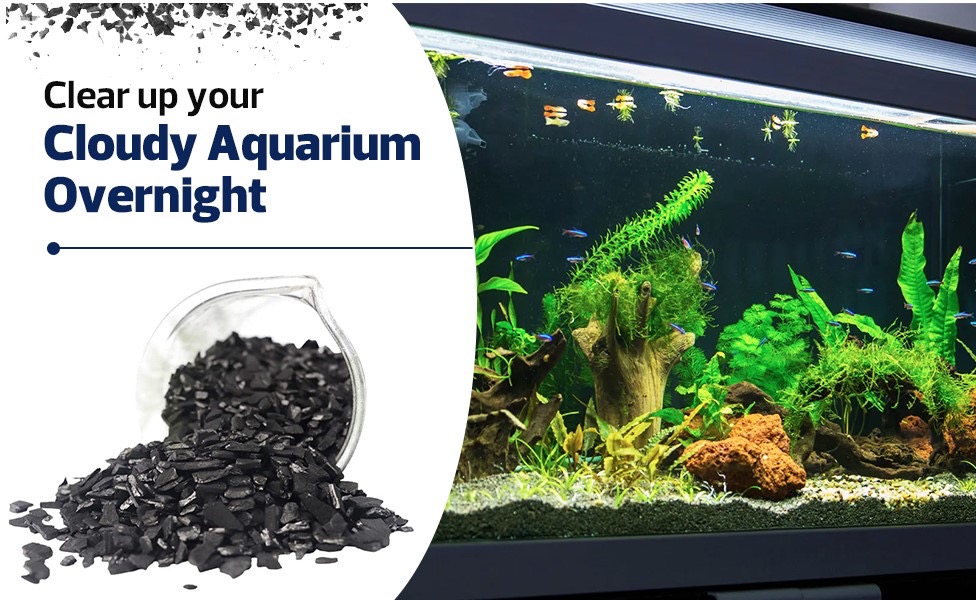 Granular Activated Coconut Shell Carbon Media (GAC) - 5 LBS | 12x40 Mesh - Image 6